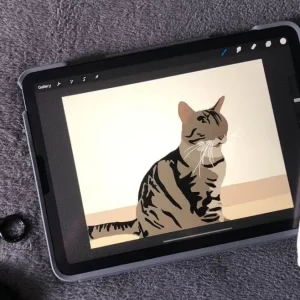 How to Transfer Art in Procreate to Photoshop with Layers